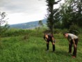 /album/gleichenberger-kogel/a20130625-170119-jpg/