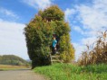 /album/straden/a20131013-110139-jpg/