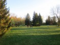 /album/ostereiersuche/a20140409-184759-jpg/