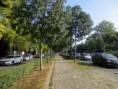 /album/ungarische-botschaft-in-szeged/a20141010-095649-jpg/